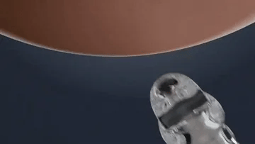 Curicreek™ Reusable P…s Extension Vibrator – Makes You Longer Harder & Unstoppable 18 3 2